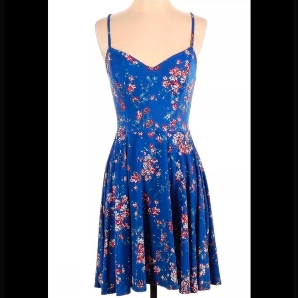 Fortune Ivy Stitch Fix Reign Floral Blue Swing Dress Medium